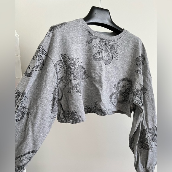 Streetwear Society Grey Dragon Print Cropped Sweater - Picture 2 of 4
